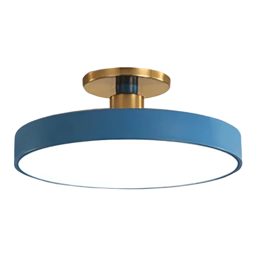 Modern LED Ceiling Light Fixture for Bedroom Living Room Home