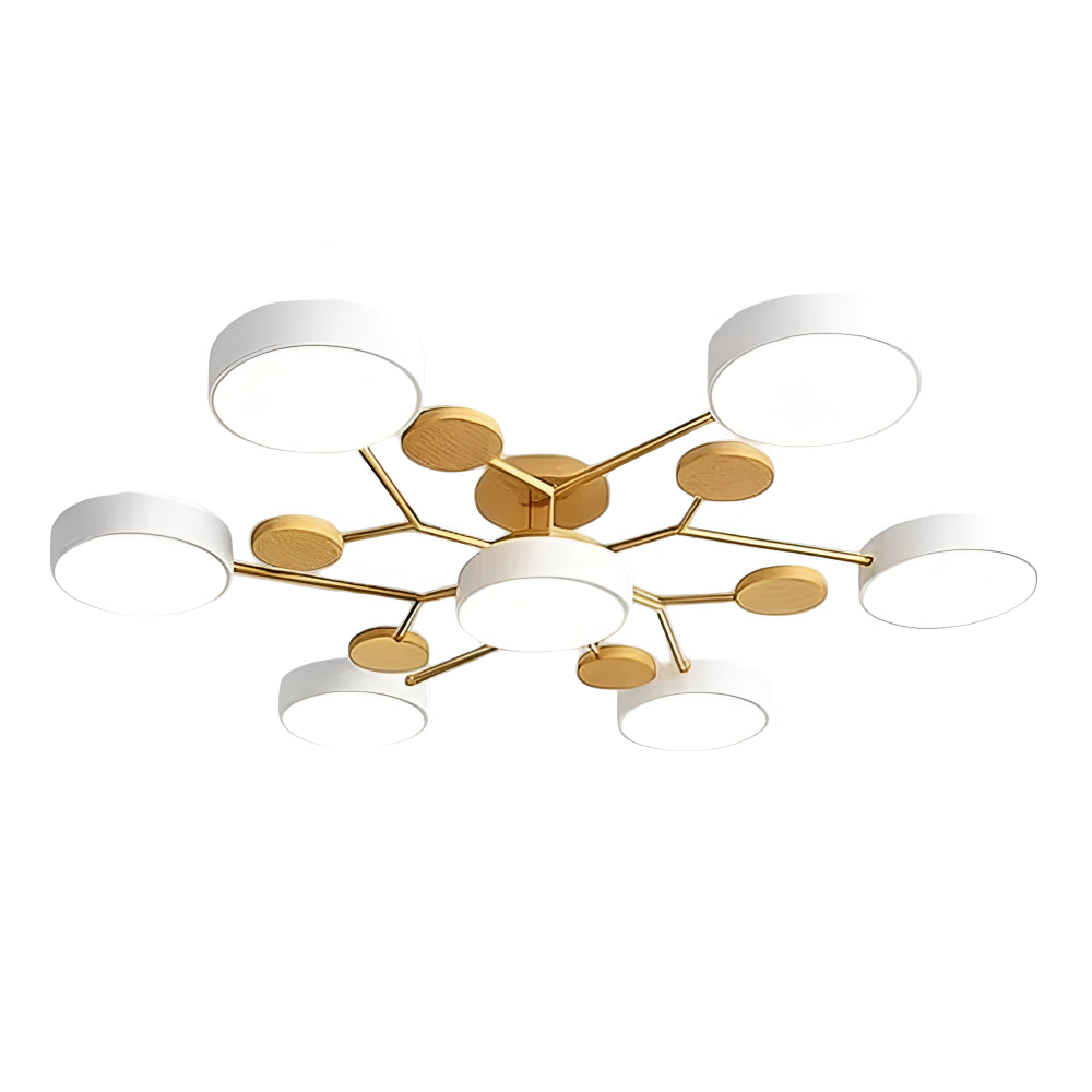 Ceiling Light Modern LED Fixture for Bright Indoor Home Lighting