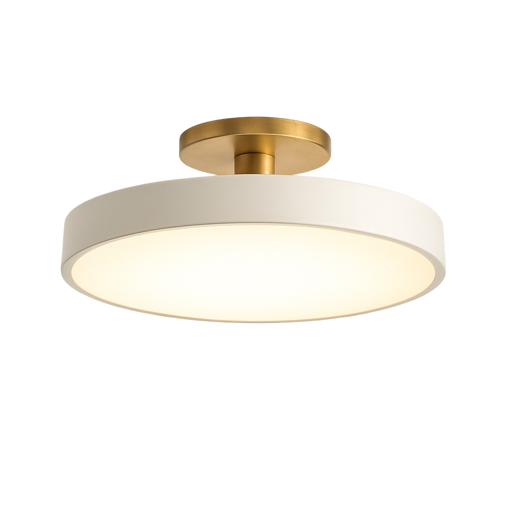 Modern LED Ceiling Light Fixture for Bedroom Living Room Home