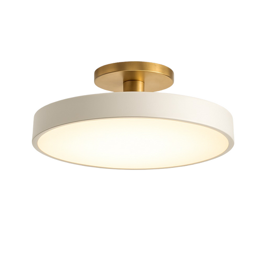 Modern LED Ceiling Light Fixture for Bedroom Living Room Home