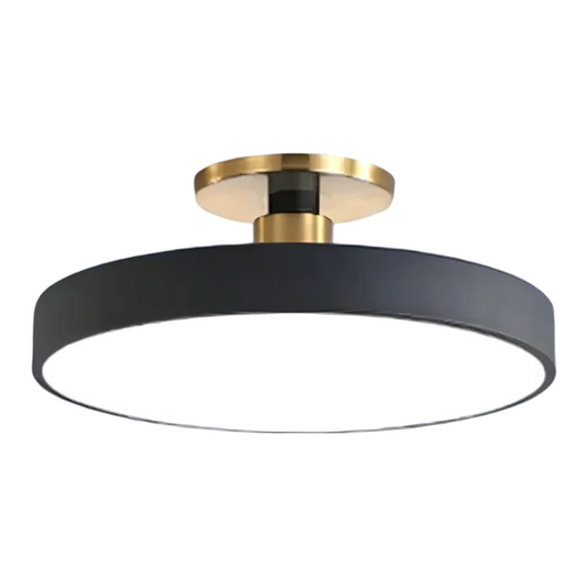 Modern LED Ceiling Light Fixture for Bedroom Living Room Home