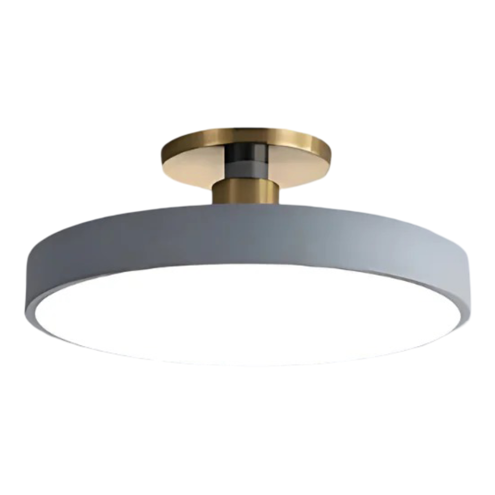 Modern LED Ceiling Light Fixture for Bedroom Living Room Home