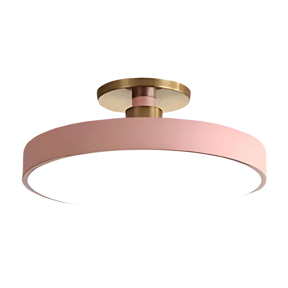 Modern LED Ceiling Light Fixture for Bedroom Living Room Home