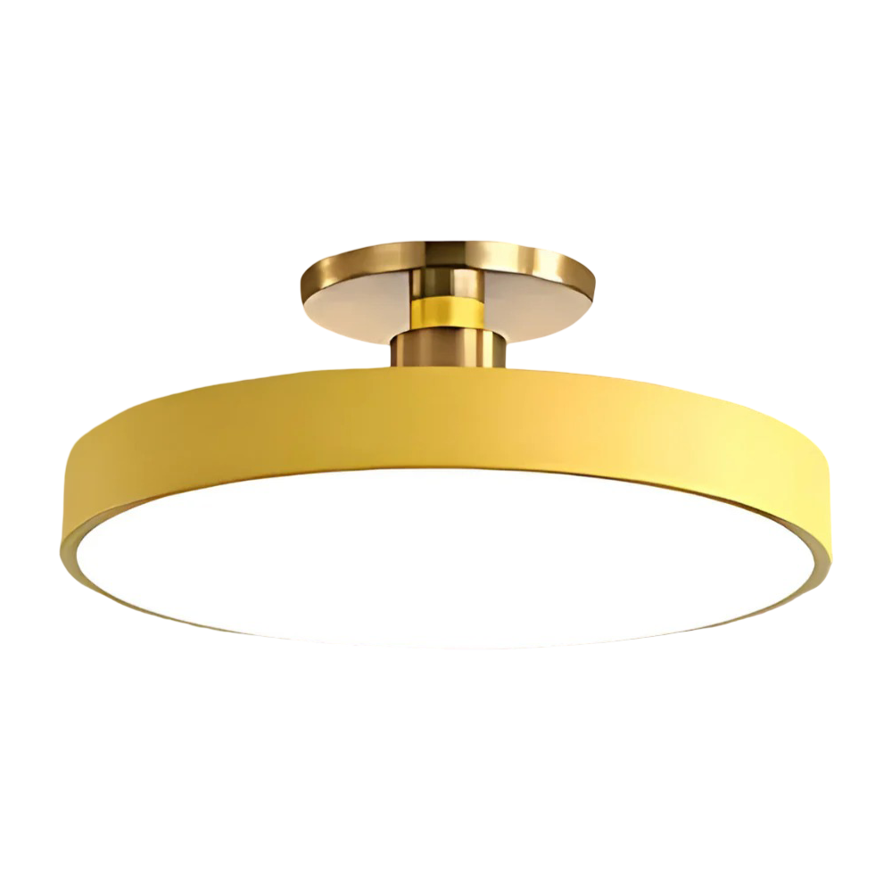 Modern LED Ceiling Light Fixture for Bedroom Living Room Home